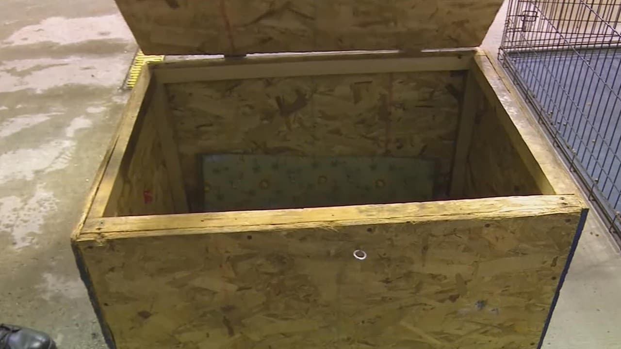 Imputan a un padre de Indiana que encerraba a su niña de 3 años en una pequeña caja