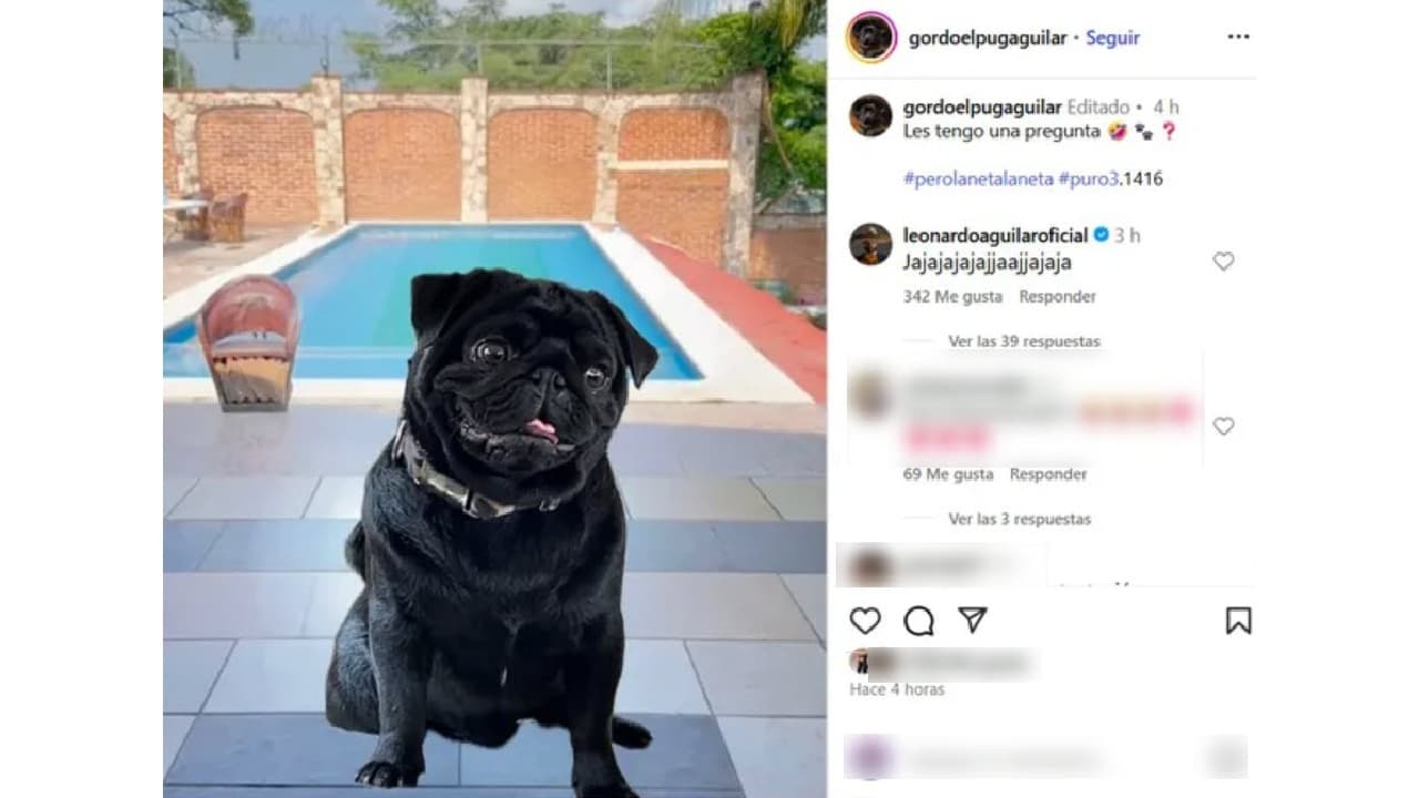 Gordo El Pug Aguilar ¿se burla de Emiliano?