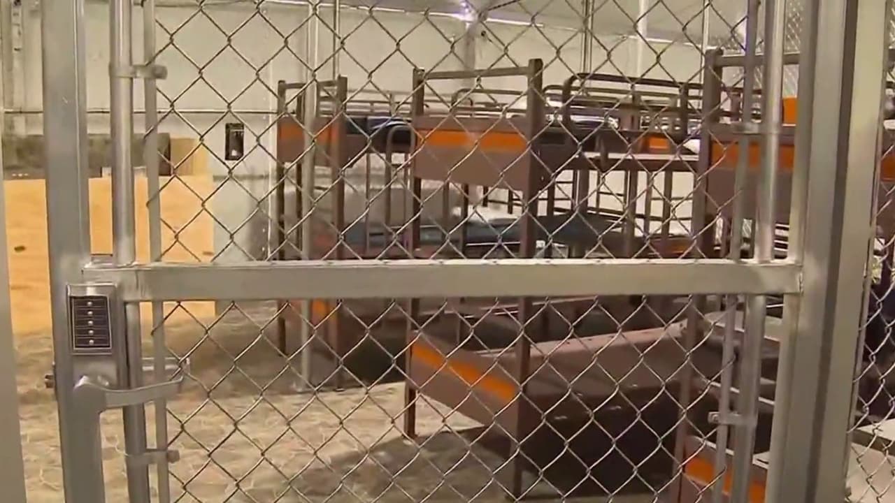 Informe revela que decenas de migrantes fueron confinados en pequeñas jaulas metálicas en 'Alligator Alcatraz'