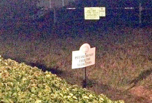 Cosas insólitas que solo se ven en Florida.