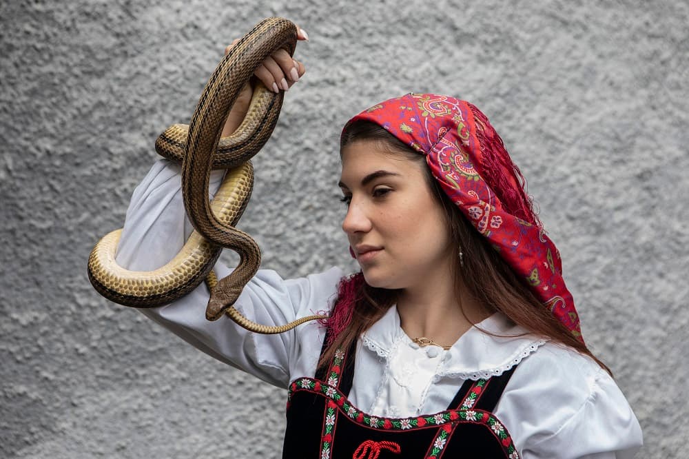 Cada año miles de turistas visitan Cocullo para contemplar uno de los festivales más raros del mundo donde las serpientes son las protagonistas. En la imagen, una joven vestida con ropas tradicionales sostiene uno de estos reptiles durante una procesión tradicional que se celebra en la población medieval.