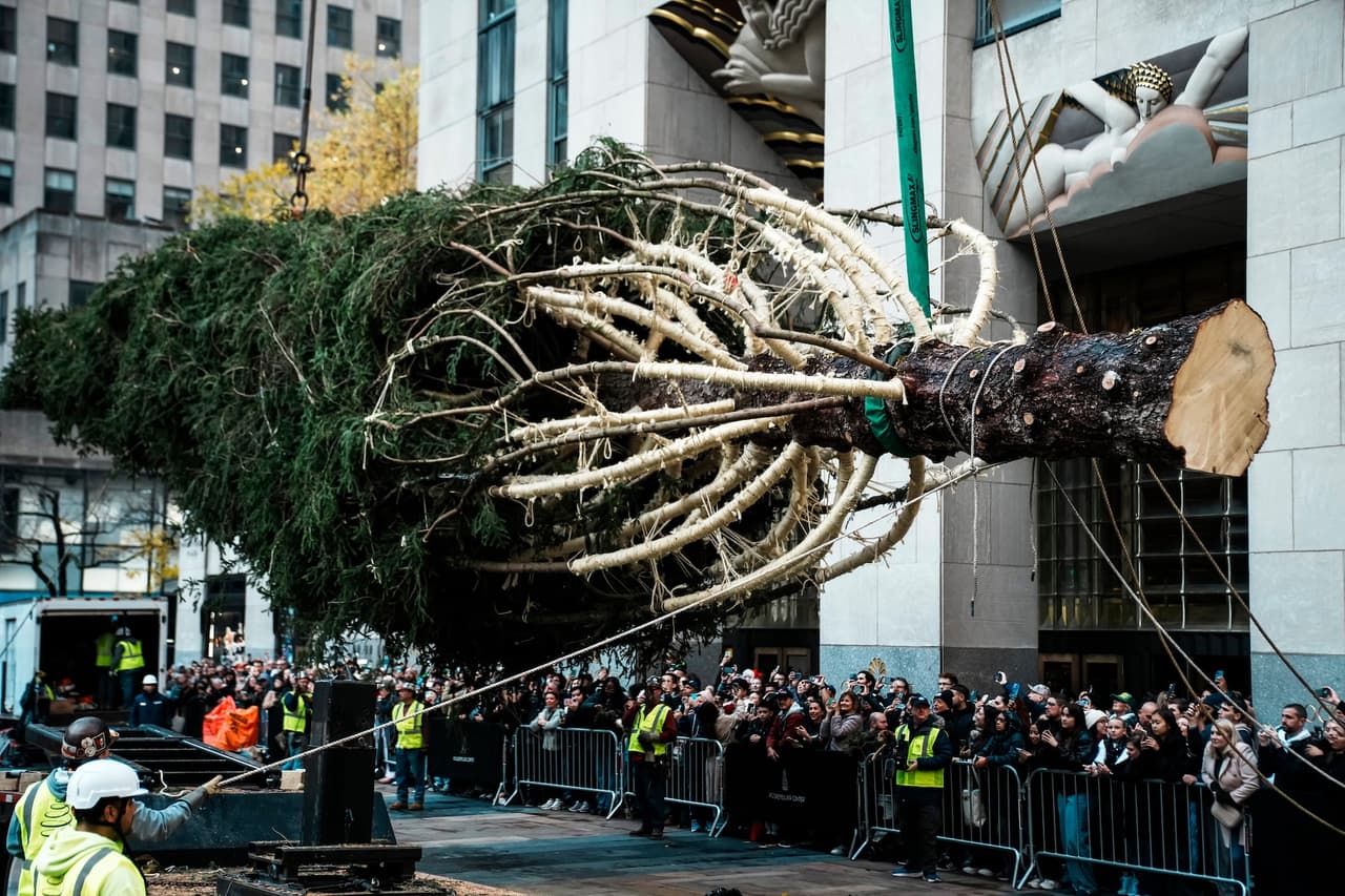 Así fue la llegada del árbol de Navidad en Rockefeller Center para dar inicio a la temporada