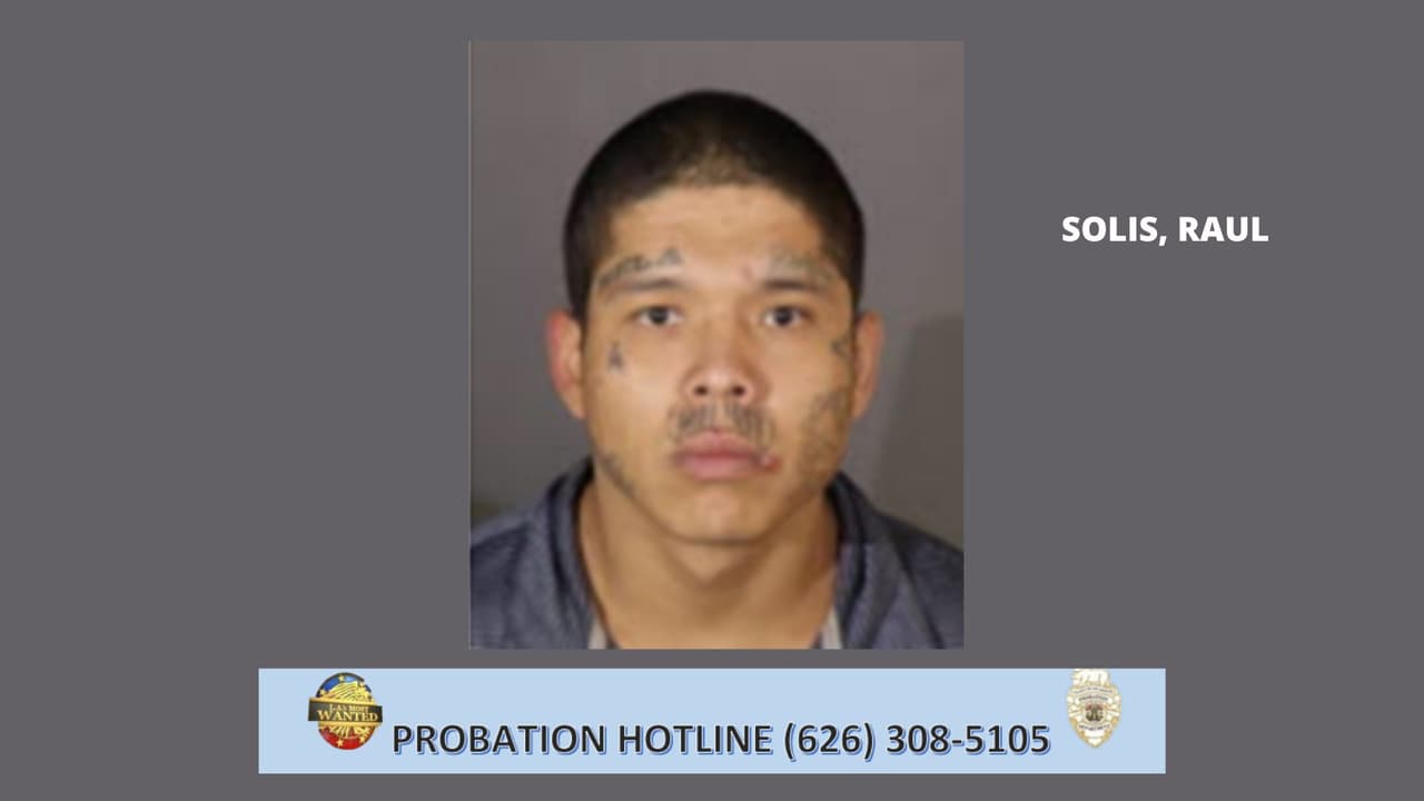 <b>Raúl Solís</b> es un pandillero documentado y tiene un extenso historial criminal adulto que comenzó a la edad de 18 años. Sus condenas incluyen robo, posesión de sustancias controladas para venta y asalto. Ha cumplido múltiples condenas en prisión estatal, siendo la más larga una condena de 5 años por agresión. Solís fue liberado de la prisión estatal bajo la supervisión del condado de Los Ángeles. Departamento de Libertad Condicional el 23 de enero de 2021.
<br>
<br>
<b>Marcas/características distintivas:</b> Tatuajes debajo de los brazos, parte derecha del pecho, espalda y cara.
<br>Pandilla: THE AVENUE
<br>Visto por última vez en Los Ángeles.