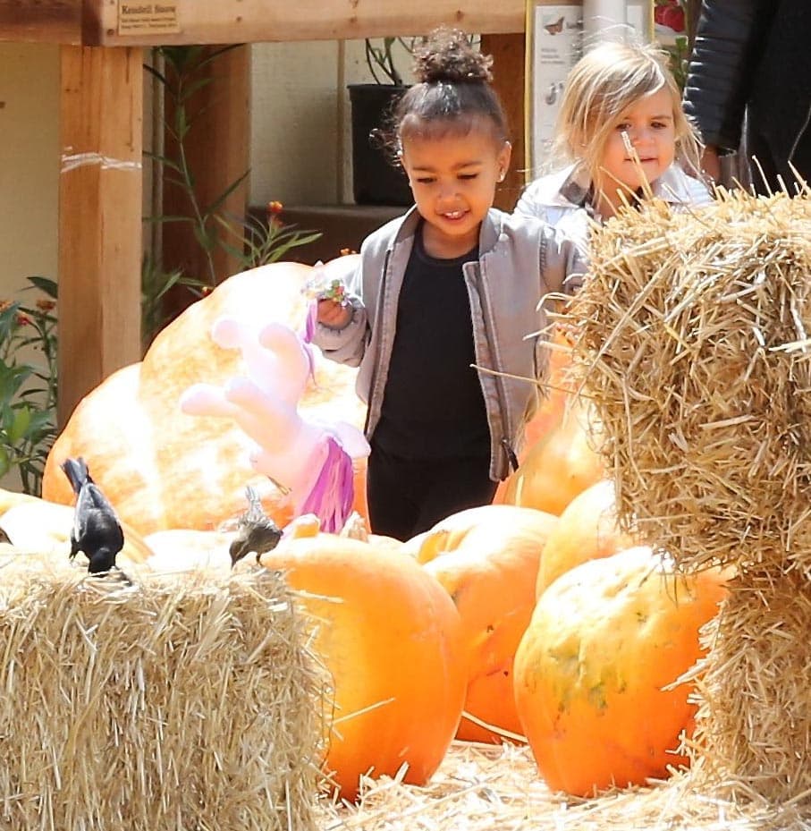 Además, Silvia Venturini dio algunos detalles sobre la reciente campaña: "Se sintió durante el rodaje, estaban tan relajados que ni siquiera prestaron atención a todo lo que sucedía a su alrededor".