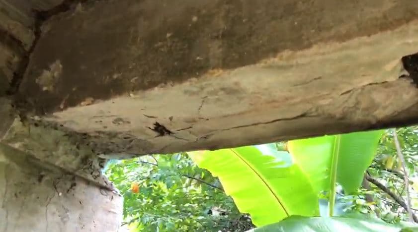 Acevedo dijo que no descartaría reubicarse en otro lugar en lo que arreglan su vivienda.