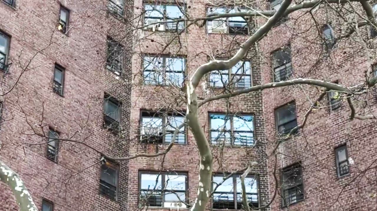 Crisis en NYCHA: Miles de viviendas públicas ocupadas ilegalmente desatan el caos en Nueva York