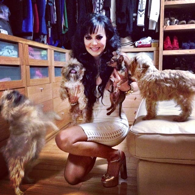 La guapa Maribel no duda ni un momento en compartir imágenes a través de sus redes sociales donde aparece con sus pequeñas mascotas.