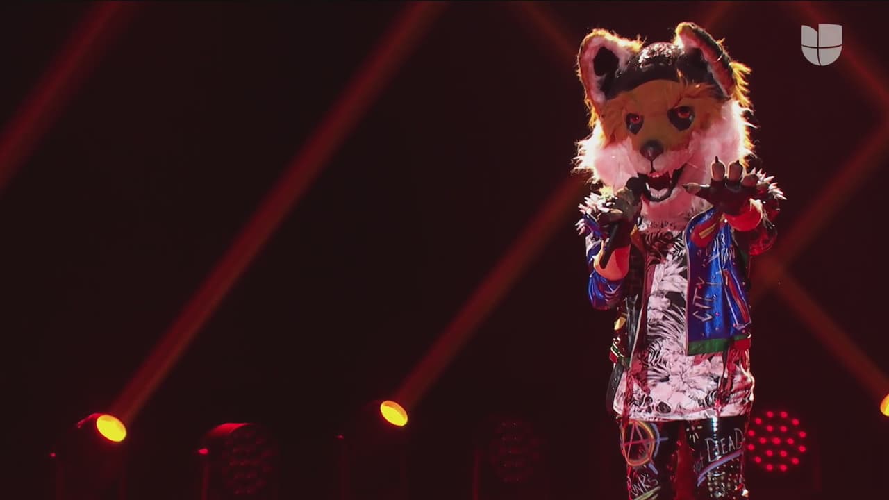 Zorro también fue parte de la tercera batalla y, nuevamente, cautivó con su personalidad relajada y melodiosa voz. En este quinto show interpretó el tema 'Mientes tan bien', un tema que se hizo popular en el año 2003 gracias a la agrupación mexicana Sin Bandera.