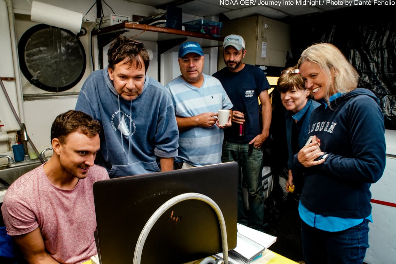 Científicos estiman que el calamar gigante juvenil mide 10 pies de largo y se observó a 2,296 pies de profundidad.