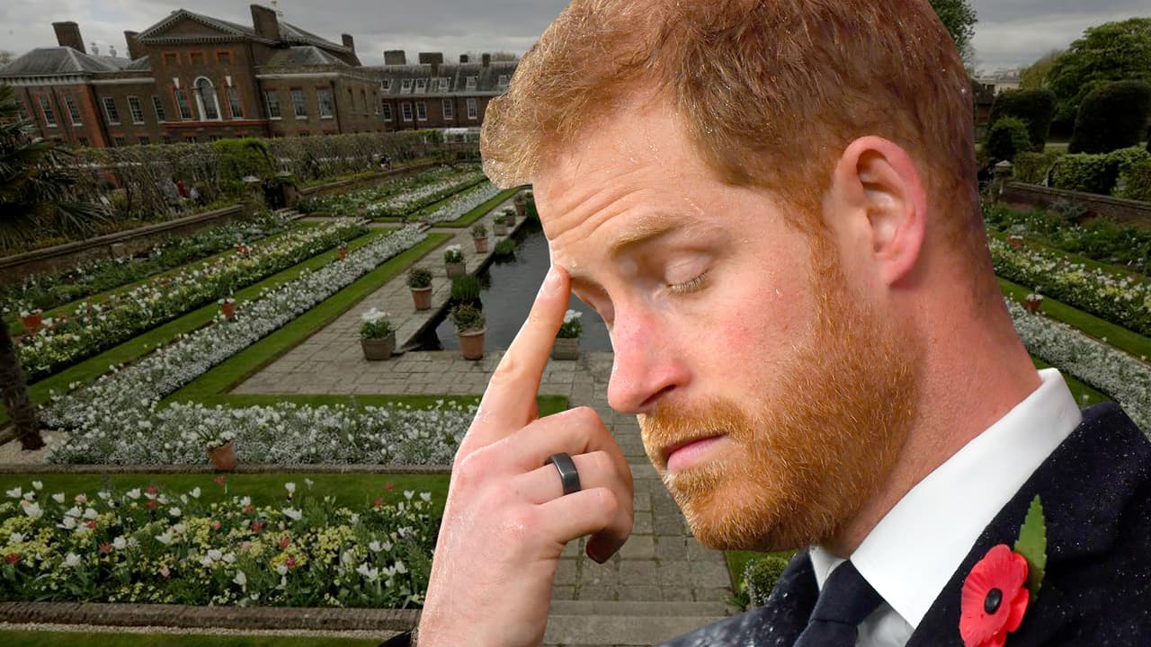 "Harry se siente encarcelado en el Palacio de Kensington": revela una experta en la familia real