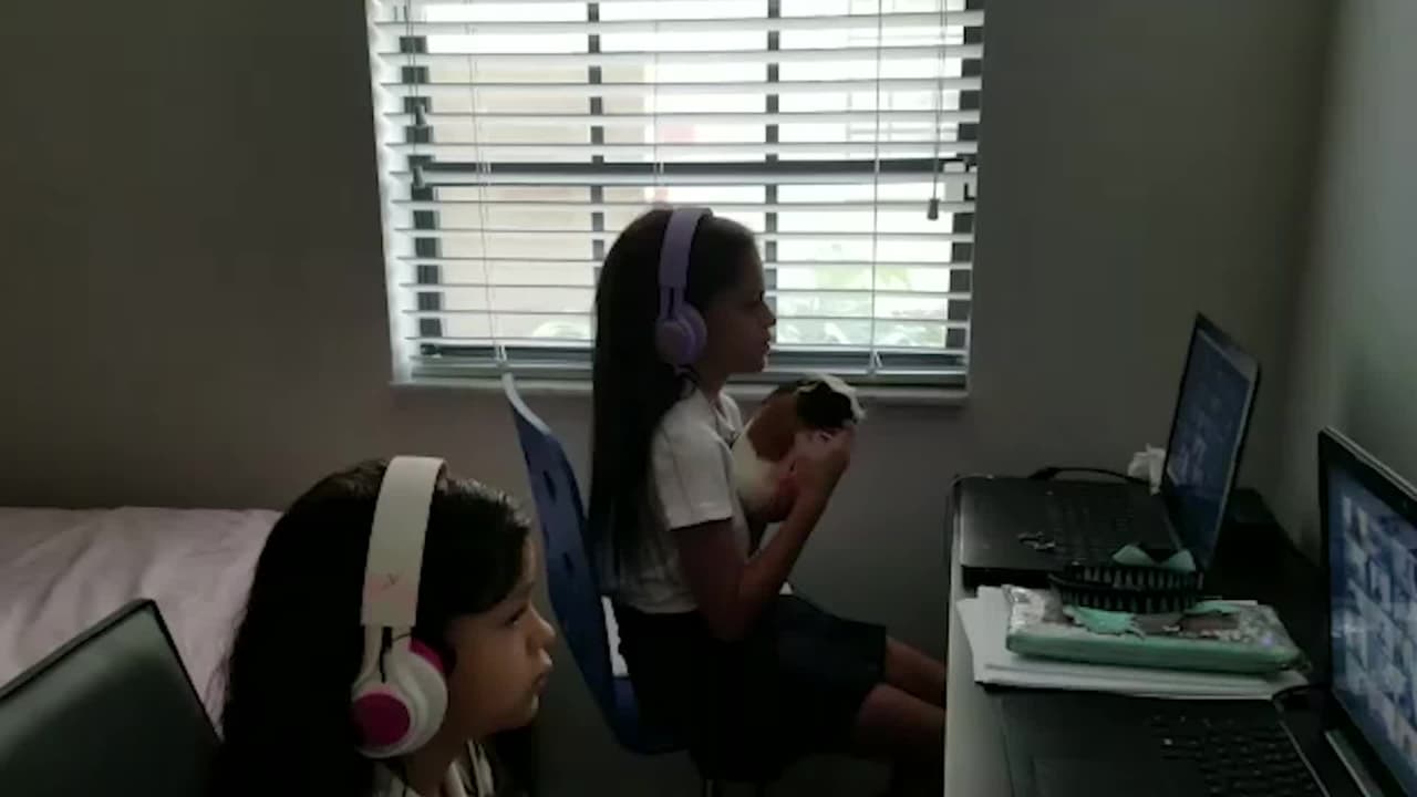 Estos recursos pueden ayudarle durante el primer día de clases en las escuelas públicas de Miami-Dade 

