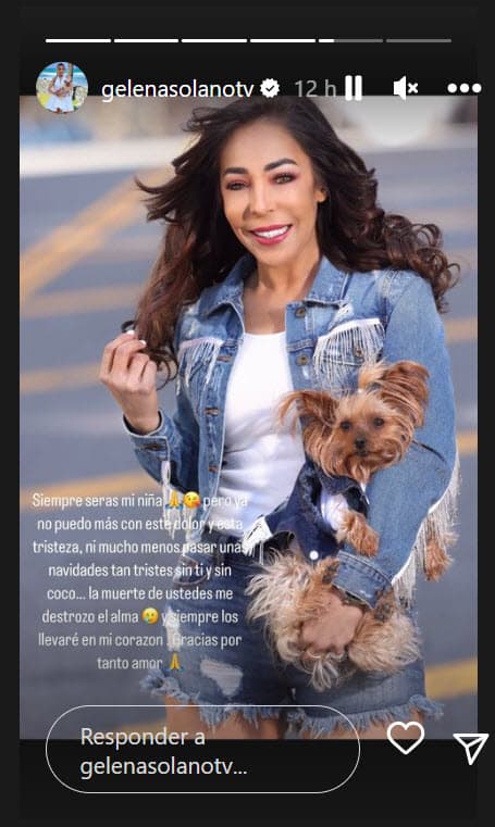 "Ya
<b> no puedo más con este dolor </b>y esta tristeza, ni mucho menos pasar unas Navidades tan tristes sin Chanel y sin Coco", reconoció a través de sus historias de Instagram este martes 13 de diciembre. 
<br>