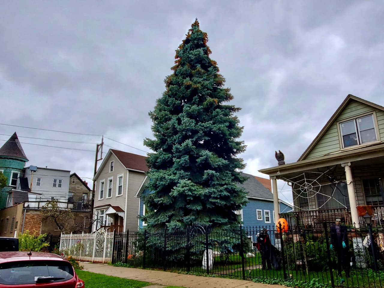 La ciudad de Chicago anunció hoy más detalles sobre las celebraciones navideñas 2021 en Millennium Park, mientras los espacios artísticos y culturales de Chicago siguen reabriendo tras dos años de 
<a href="https://www.univision.com/local/chicago-wgbo/coronavirus-las-escuelas-publicas-de-chicago-cancelaran-un-dia-de-clases-para-que-ninos-de-5-a-11-anos-se-vacunen-video">pandemia de coronavirus</a>.