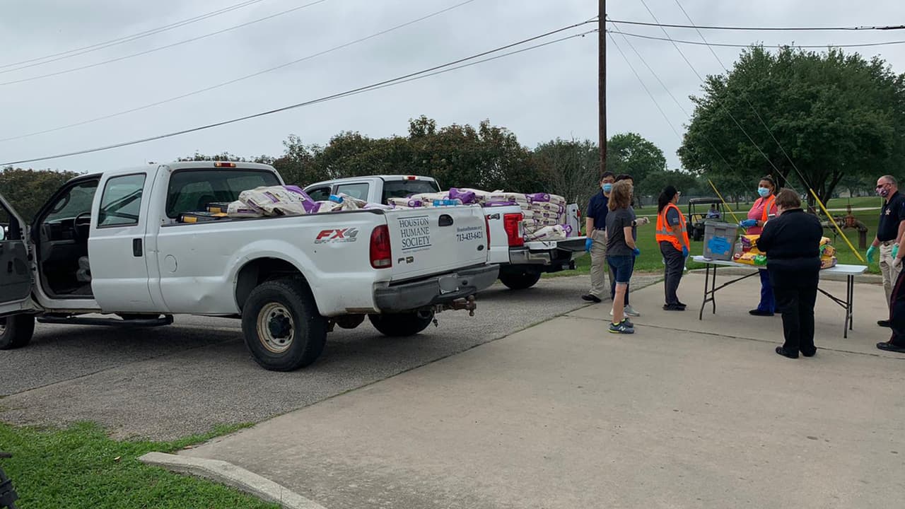 Participaron la Sociedad Protectora de Animales de Houston y oficiales del precinto 1 de la oficina del sheriff de condado Harris.