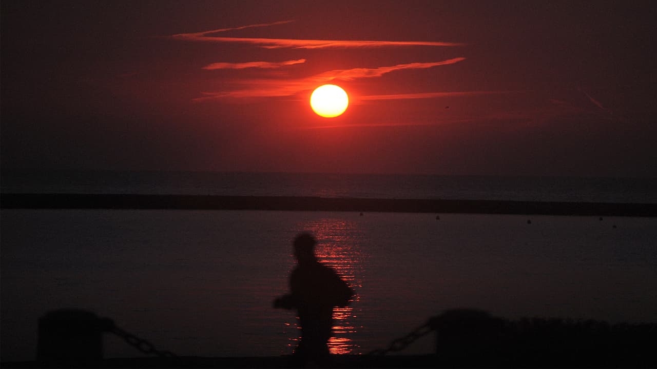 <b>¿Dónde y cuándo ver el Chicagohenge?</b>
<br>A finales de septiembre, con la llegada del otoño, este fenómeno se puede observar justo antes del amanecer y antes del atardecer.
