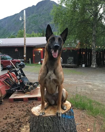 Este miércoles 'Eva' murió, pero su historia sobre cómo salvó la vida de Erin, su compañera y mejor amiga, será recordada en todo el mundo.