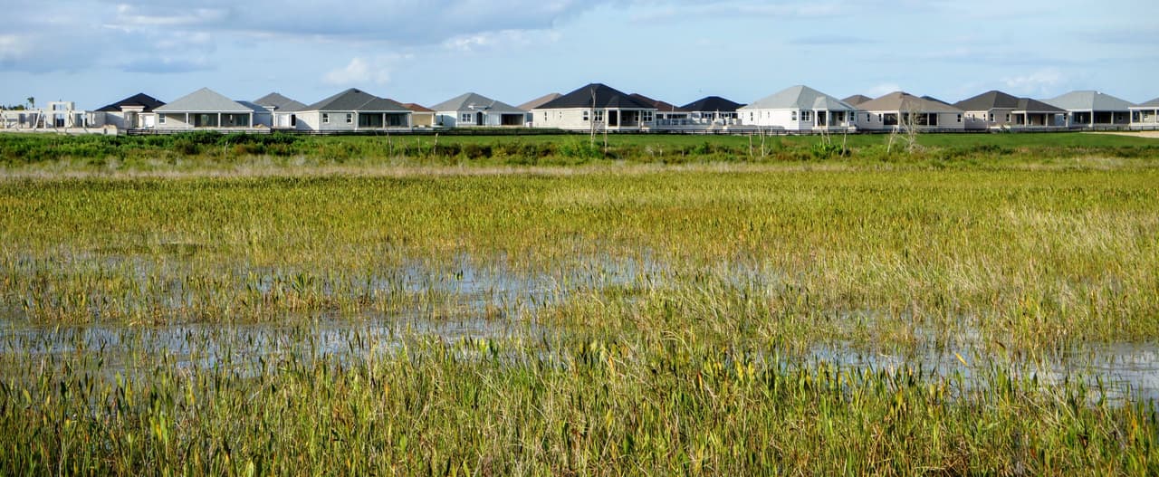 Rows and rows of uninhabited new homes in The Villages sit next to a nature preserve.