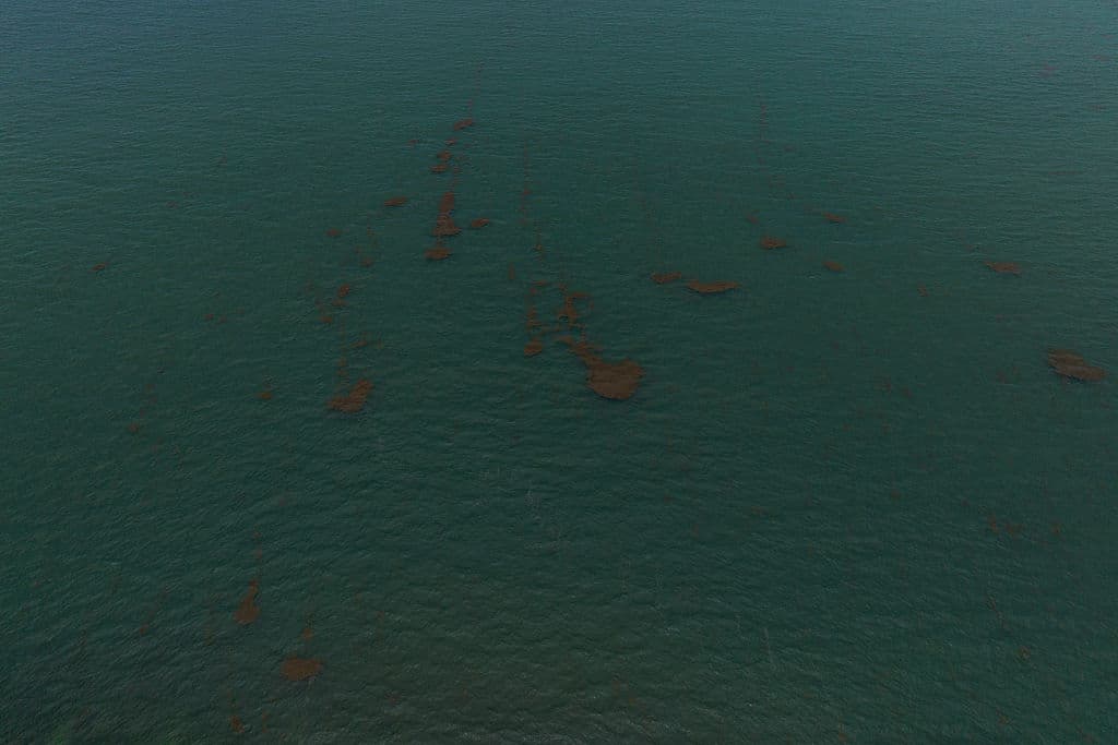 <b>¿Qué puede hacer la ciudadanía?: </b>Se recomienda evitar el contacto con el sargazo acumulado, reportar excesos a las autoridades locales y participar en jornadas de limpieza, sin olvidar protegerse del gas emitido.
<br>