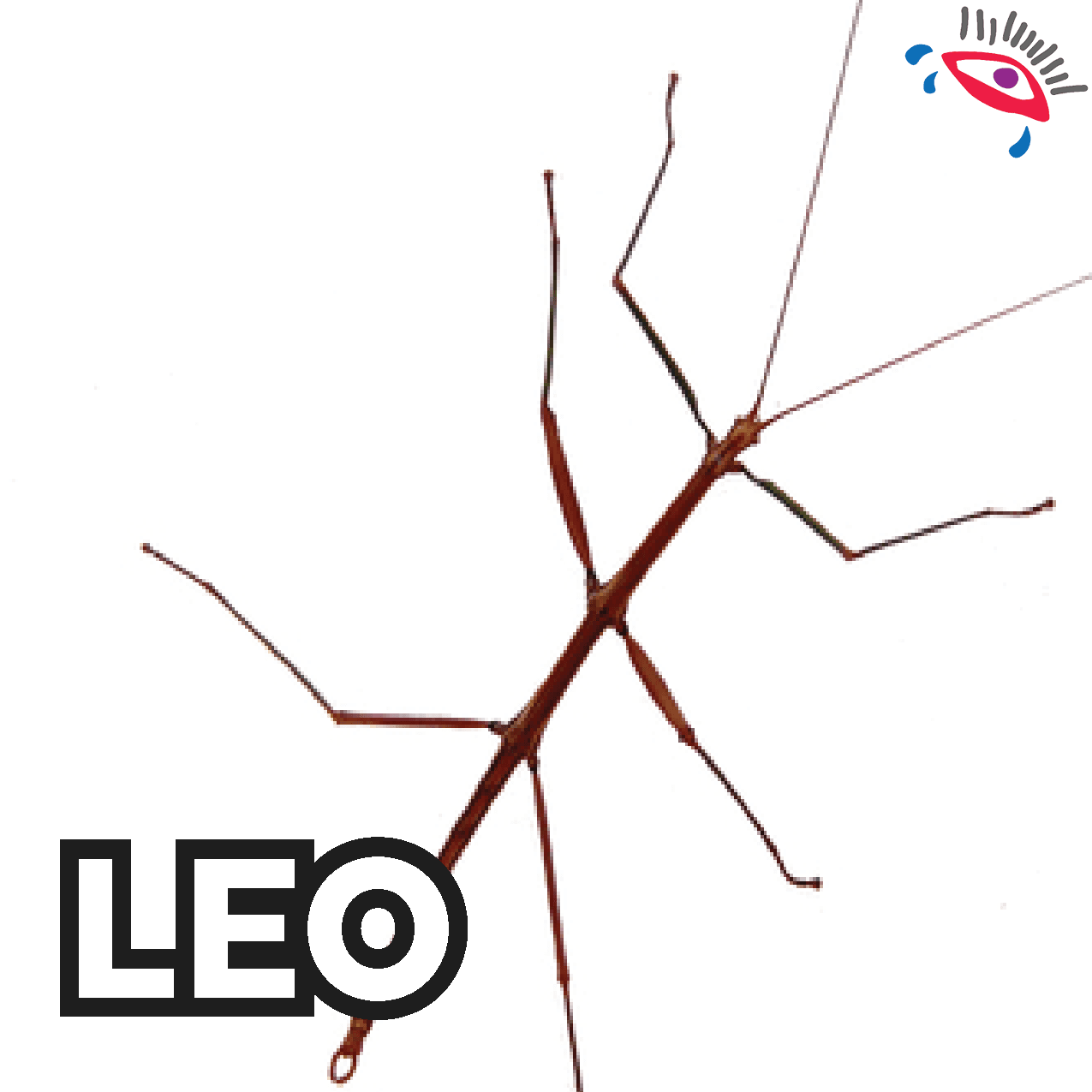 Siempre te has preocupado por conservar la línea de forma saludable, pero volverás en forma de insecto con trastornos alimenticios.