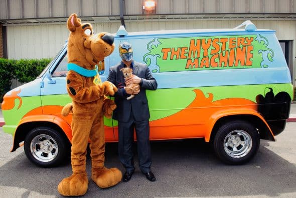 Mira más fotos del evento. Conoce también a estos perros superdotados