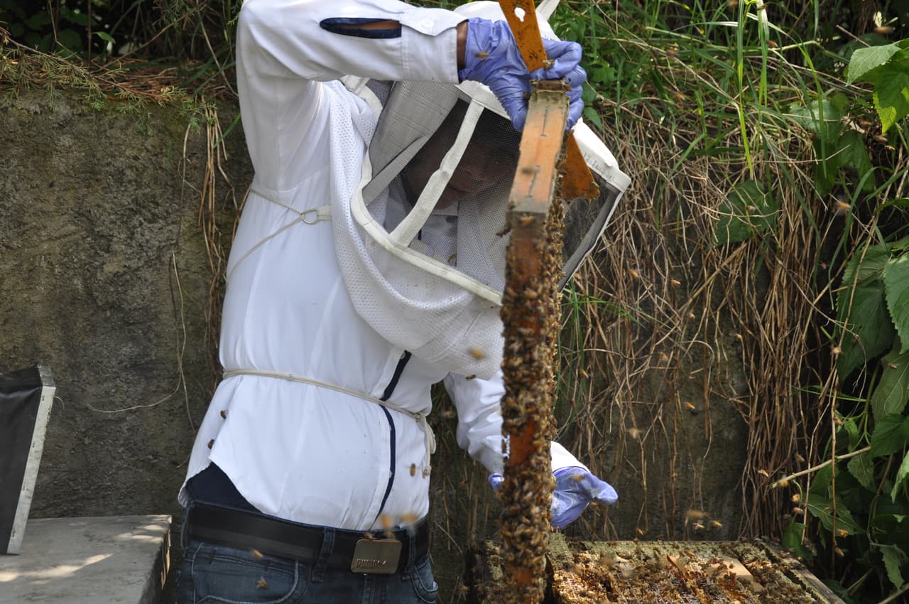 La veterinaria Adriana Véliz en el Apiario de Atessi ubicado en el Municipio de Villa de Allende en el Estado de México, México.