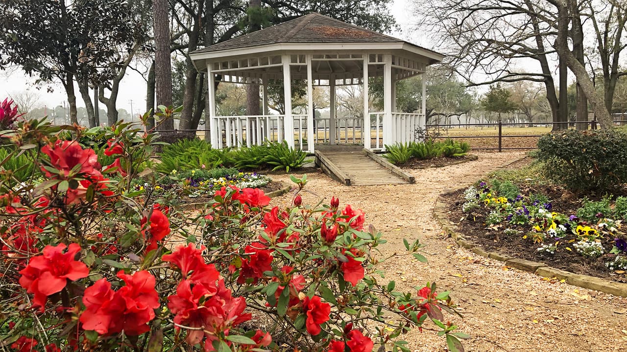 El Bay Area ofrece unas temperaturas agradables durante gran parte del año. Solo 18 días puede registrarse temperaturas en el punto de congelación.