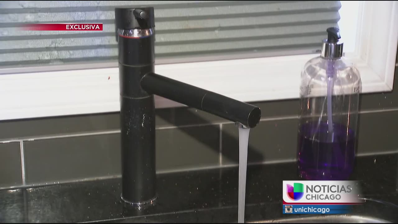 Niveles de plomo en el agua preocupan a residentes de Berwyn 