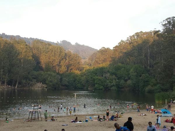 Clausuran el lago Anza por crecimiento de alga tóxica
