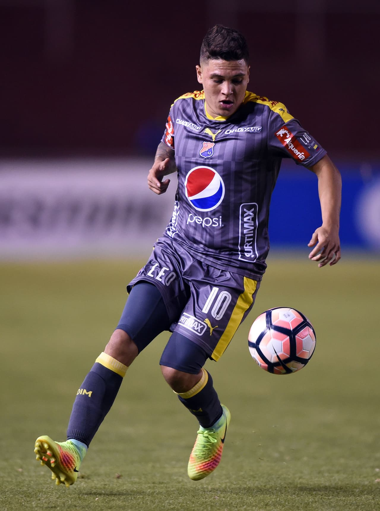 Juan Fernando Quintero (F.C. Porto): luego de su préstamo en Colombia, el joven talentoso regresa a Europa y su precio es un ofertón: 3,5 millones de euros, un 50% menos de lo que costaba en el 2016.