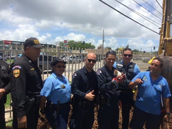 Oficiales rescatan a un gatito atrapado en una tubería