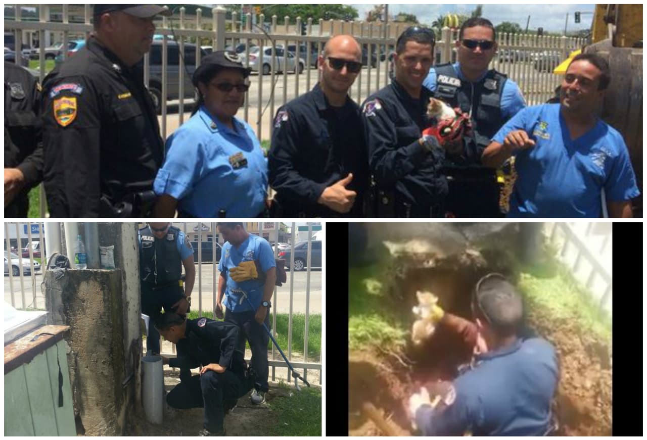 Rescatan un gato de una tubería luego de varias horas intentándolo. Los agentes recibieron una llamada notificando que el felino estaba atrapado en la tubería cercana a un poste en la 65 de infantería.