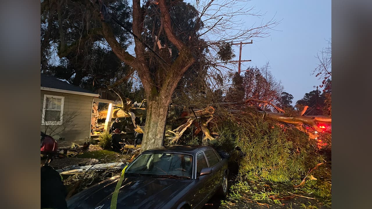 Una persona quedó atrapada tras caer un árbol de eucalipto en una casa localizada en Sandy Road, en Castro Valley. MIra los detalles.