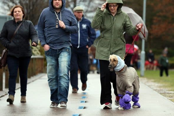 Algunos iban más abrigados que sus propios dueños.