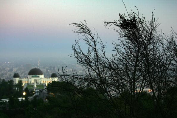 Macabro hallazgo de calavera humana en Griffith Park