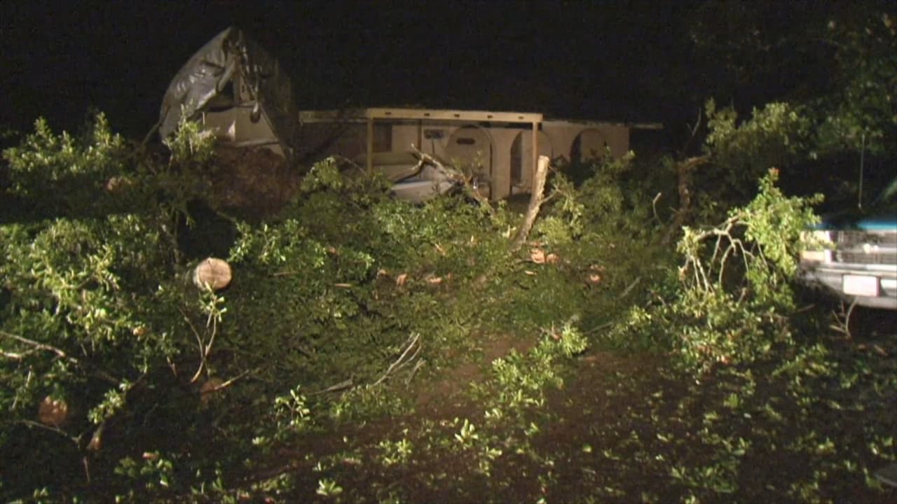 La fuerza de los vientos, de entre 80 y 100 millas por hora, derribó árboles y causó daños a viviendas.
