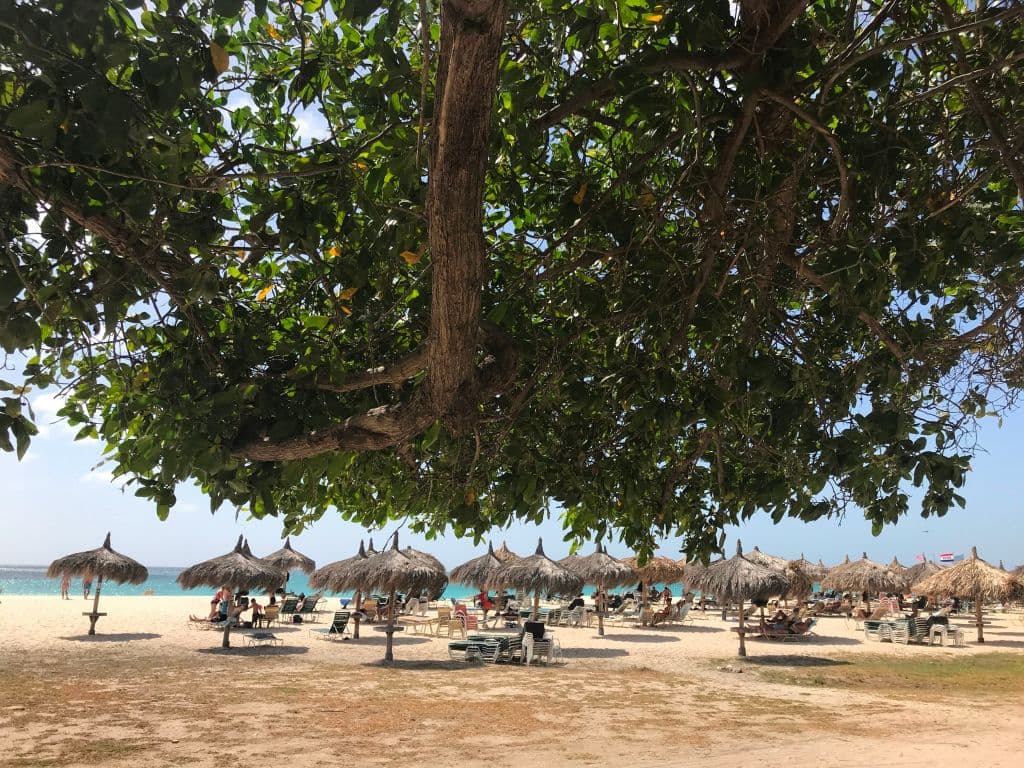 <b>Puesto 2:</b> 
<b>Playa Águila (Aruba)</b> 
<br>
<br>“El agua es bellamente clara, tranquila y transparente, sin rocas ni algas, la playa se extiende hasta donde alcanza la vista”, se lee en una reseña sobre este paraíso en el Caribe.