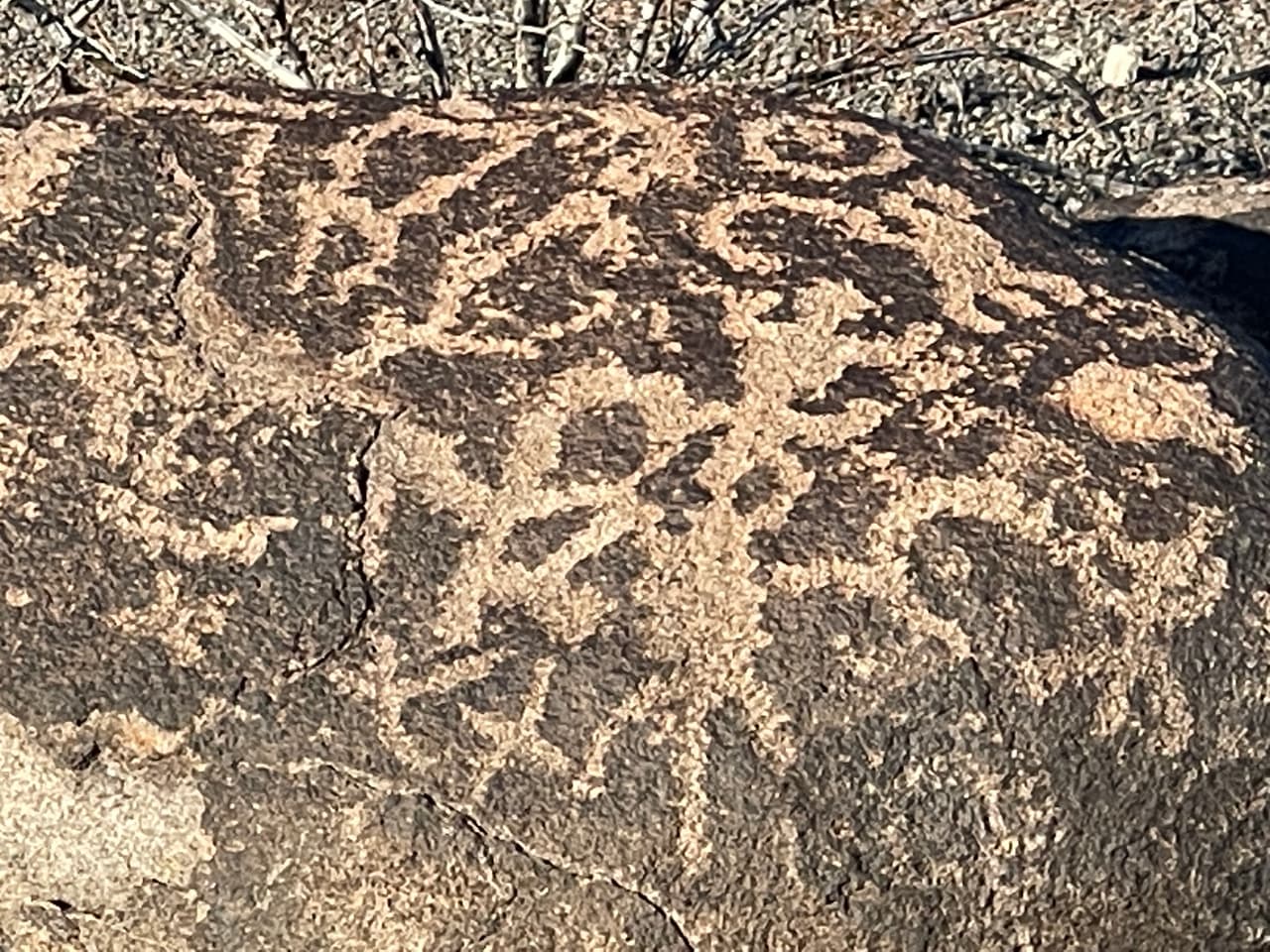 Los petroglifos 
<b>están tallados en rocas de basalto</b>. La mayoría de los petroglifos se concentran en los cantos rodados a lo largo del borde este del parque.