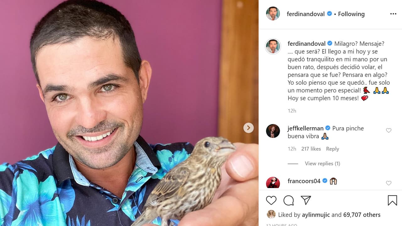 Sucedió cuando se cumplieron 10 meses de la partida del bebé. Un pájaro llegó hasta él y reposó sobre su mano. El momento lo compartió con sus seguidores en Instagram: "
<b><a href="https://www.univision.com/famosos/milagro-mensaje-ferdinando-valencia-tuvo-un-momento-especial-y-cree-que-pudo-ser-una-senal-de-su-hijo-dante-fotos">¿Milagro? ¿Mensaje?... ¿qué será?</a></b> Él llegó a mí hoy y se quedó tranquilito en mi mano por un buen rato, después decidió volar, ¿él pensara que se fue? ¿Pensará en algo? Yo solo pienso que se quedó... fue solo un momento, ¡pero especial! ¡Hoy se cumplen 10 meses!", escribió junto con la imagen.
<br>