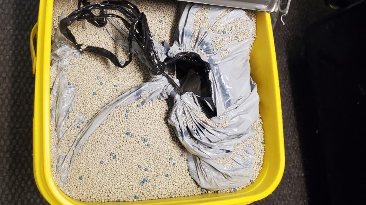 Detienen a un ciudadano estadounidense que conducía un camión con remolque que intentó esconder más de 25 libras de presunta cocaína dentro de una caja de arena para gatos en la carretera 19.