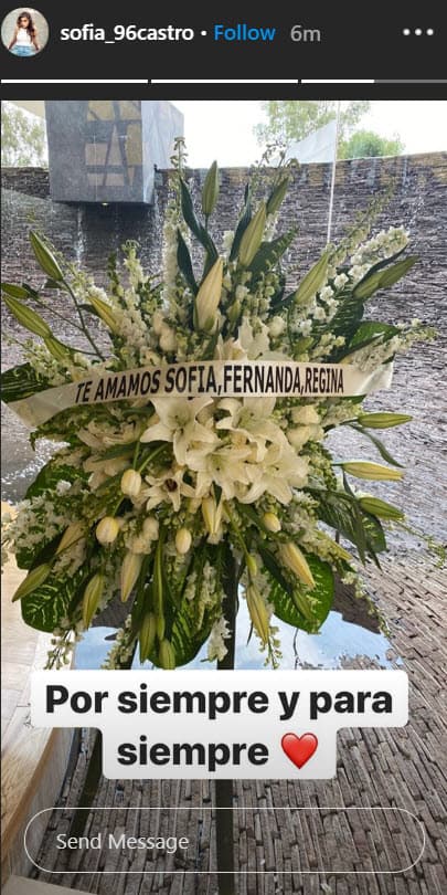 Debido a la pandemia de coronavirus, no pudieron despedirse de ella, por lo que solo algunos familiares como José Alberto Castro y su hija Sofía asistieron al velorio.
<br>