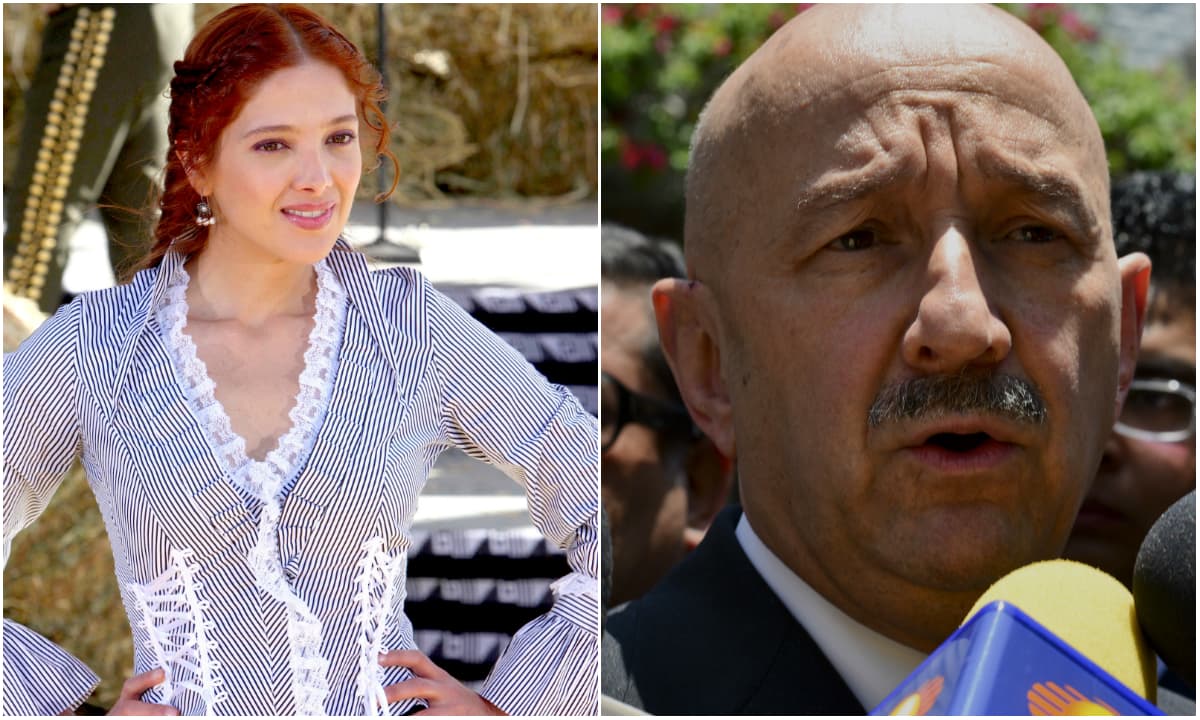 A mediados de los 90, Adela Noriega fue relacionada con el entonces presidente de México Carlos Salinas de Gortari. Incluso, se dijo que había dado a luz a un hijo del exmandatario. Medios de comunicación como la revista 
<b><a href="http://www.chilango.com/cultura/travesuras-amorosas-presidenciales/">Chilango</a></b> han escrito al respecto.