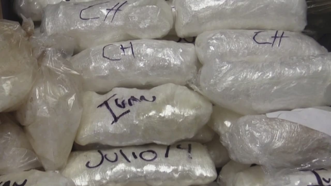 Operación DisrupTor: Arrestan a 179 traficantes de opioides en 7 países y confiscan armas, drogas y millones de dólares