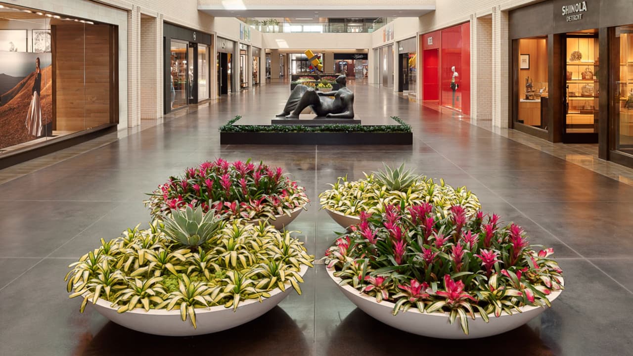 <h3 class="cms-H3-H3">NorthPark Center </h3>Este centro comercial es conocido
<b> por su colección de arte y por sus espacios abiertos para familias.</b> 
<br>Durante el año organiza
<b> eventos infantiles y actividades educativas sin costo.</b>
<br>📍 Dirección: 
<a href="https://maps.app.goo.gl/6fLXDb4An9EZXWcP8" target="_blank">8687 North Central Expressway, Dallas</a>