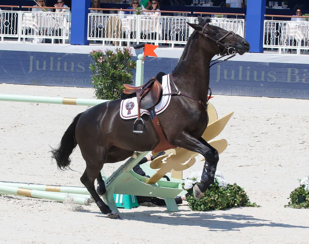 Este caballito vaya que se portó mal.