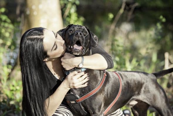 Muchas mujeres no dieron o no han dado a luz -ya sea por decisión propia u otras razones- pero aun así se sienten todas unas madres de sus lindas mascotas.