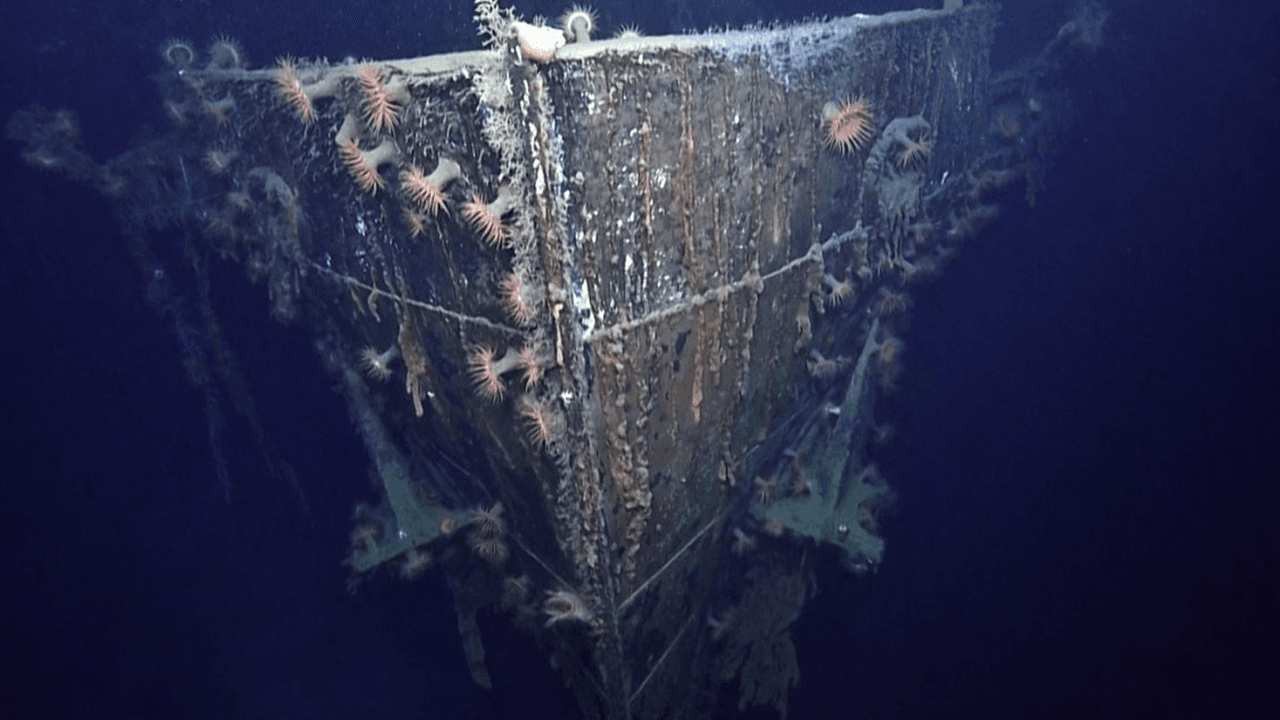 El SS Robert E. Lee fue uno de los barcos hundidos por el submarino alemán U-166. Era una embarcación de pasajeros que había partido de Trinidad y se dirigía a New Orleans.