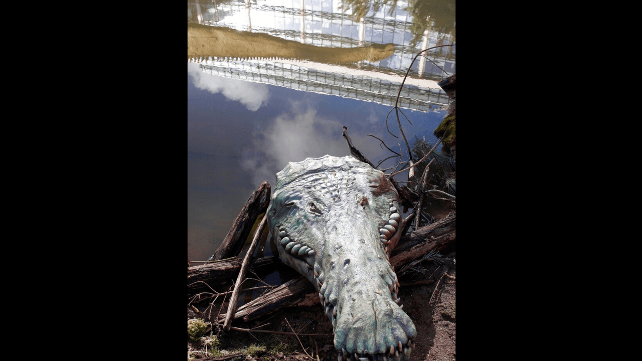 Cómo el extinto "cocodrilo del terror" se convirtió en un gigante devorador de dinosaurios 