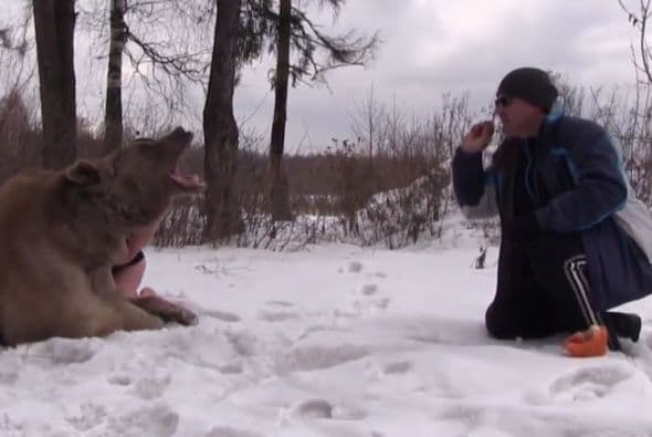 Fotos: YouTube screenshots