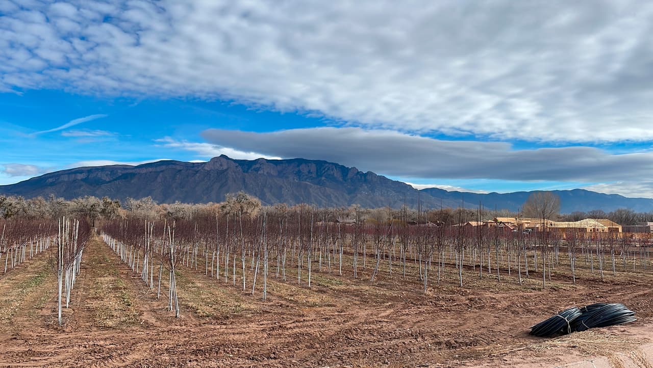 Mientras la nieve causa estragos en la costa oeste,
<b>el calor </b>bate récords en el otro extremo del mapa, en puntos como Rio Grande Village, Texas. Los agricultores y ganaderos están preocupados ante previsiones de más clima seco y caliente durante el invierno, como en
<b>Albuquerque, New Mexico</b>, en la imagen.
<br>