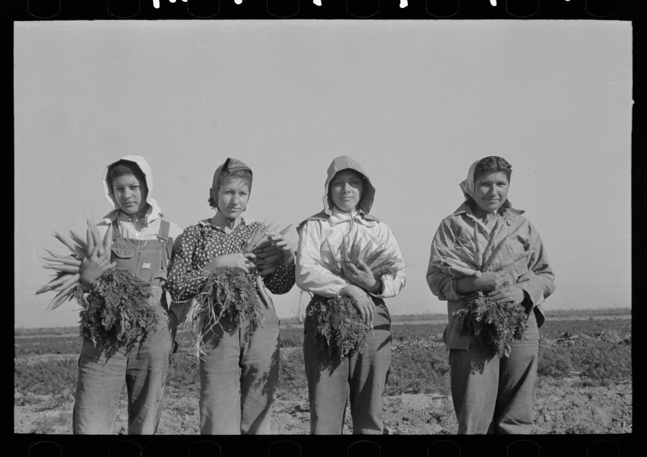Agricultoras en un campo de zanahorias. Edinburg, Texas, 1939.